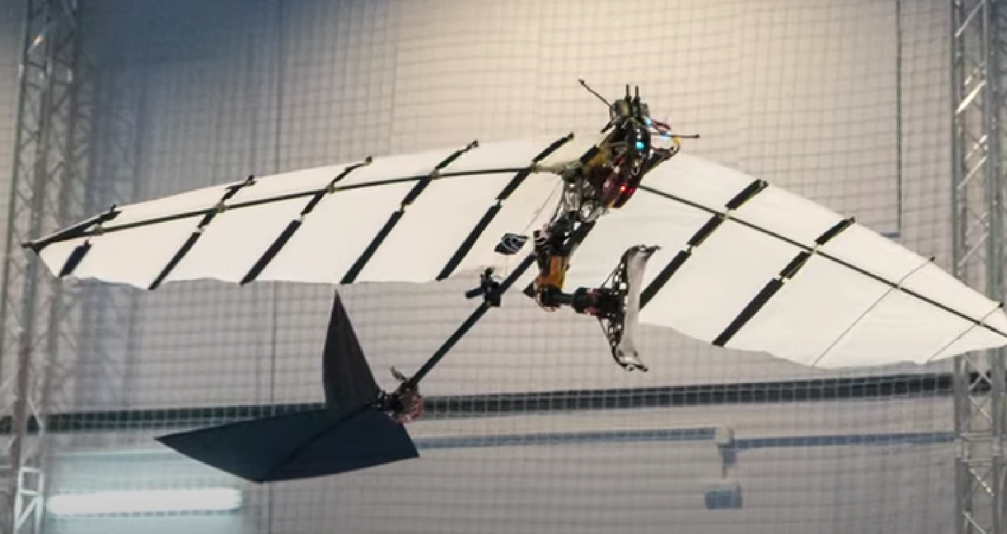 робот-птица